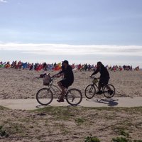 DiscoveringLA (@discoverlosa) 's Twitter Profile