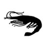 biject's profile picture. Ex member of the Museum of Jurassic Technology