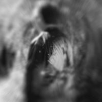 Ghostknocker (@ghostknocker) 's Twitter Profile