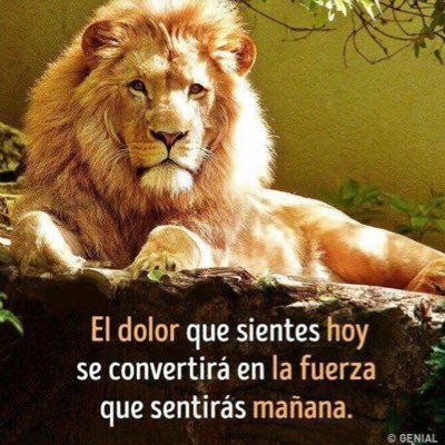 visiondelbueno's profile picture. Deportes