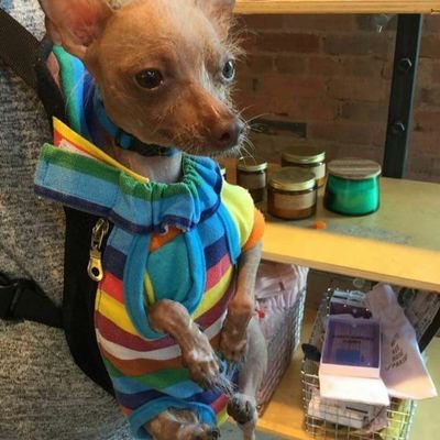 kniezgo29's profile picture. 