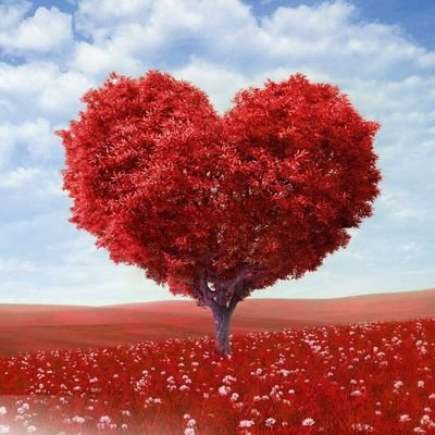 merire3's profile picture. 