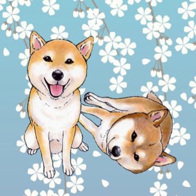 さとち 一弓ちゃん 亡くなってたのか でもまた新しい家族迎えたのね また溺愛されるね 実家の愛犬イチローは イチローさんに因んだ名前なのだ イチロー氏キャンプ合流 愛犬の死と新しい家族報告 日刊スポーツ T Co Mfj47ohpui さとち 一弓ちゃん 亡くなってたのか でもまた新しい家族迎えたのね また溺愛されるね 実家の愛犬イチローは イチローさんに因んだ名前なのだ イチロー氏キャンプ合流 愛犬の死と新しい家族報告 日刊スポーツ T Co Mfj47ohpui