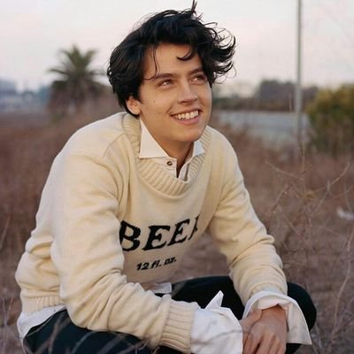▸xix. ↬cнeғ↫ ❛Linguini & Collette's young boy❜ 〘ᴀɴʏᴏɴᴇ ᴄᴀɴ ᴄᴏᴏᴋ〙#chr