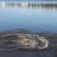 mkatvala's profile picture. 