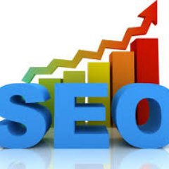 Professional SEO Services Firm who specializes in search engine algorithms and advanced SEO methods.