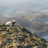 Countryside Walker (@countrysidewalk) 's Twitter Profile