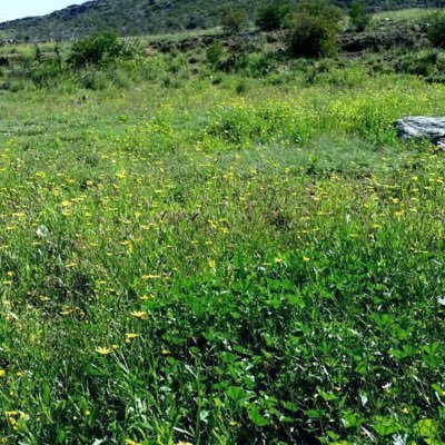 aaaad2000's profile picture. استغفر الله سبحان الله وبحمده سبحان الله العظيم