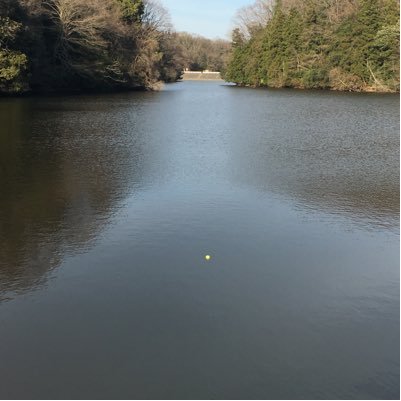 9gジャングラー/無言フォロー失礼します、フォロー返してくれると嬉しいです/WLBK杯準優勝(ローマーとレーナーのおかげ:)/絡んでくれると嬉しいです