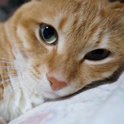 kazu (@kazu_194) / Posts / X