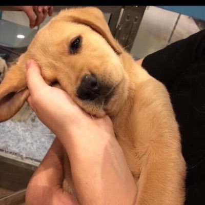 northstar00114's profile picture. 