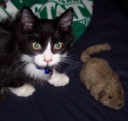 kimglo's profile picture. 