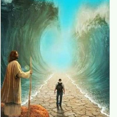 petermuthama82's profile picture. 