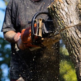 American Firewood and Tree Service offers Utah locals removal of trees, wood, and we sell firewood! Free estimates and quality you'll be happy with.