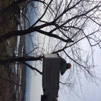 まっし (@massi10) 's Twitter Profile