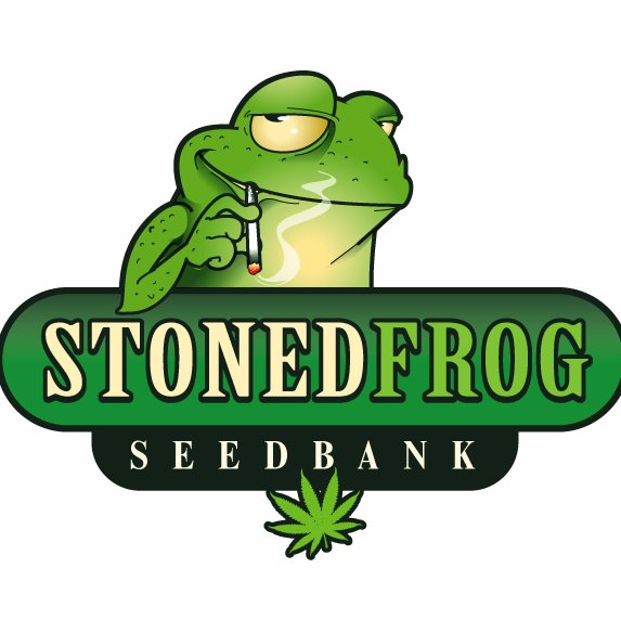 Stonedfrog is a UK-based Seedbank. We only stock quality cannabis seeds from the best seed breeders in the world.
https://t.co/t0F77RKkHK