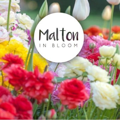 Welcome to Malton in Bloom. Malton Town Council aim to keep our lovely town of Malton blooming throughout the year.🌼🌷🌻