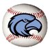 Chapin Baseball (@ChapinBaseball) Twitter profile photo