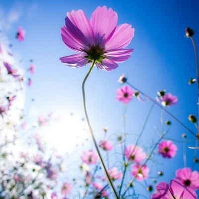 KittanehAbeer's profile picture. 