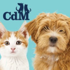 http://t.co/HDfVj3r9HW es el sitio en Colombia para dueños de perros y gatos que buscan lo mejor para sus mascotas. Blog, consultas gratis y +5000 productos.