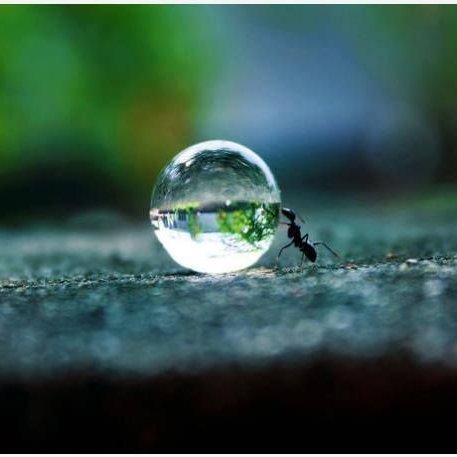 LuisAmaMarca's profile picture. Licenciado en Gerencia, Recidenciado en Maturin, Creo que cambiando nosotros mismos podemos ver el cambio que queremos ver...