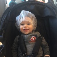 Mike Medeiros (@mushrooommike) 's Twitter Profile