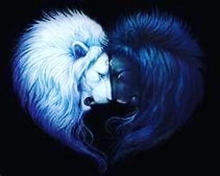 Vege201's profile picture. Ola