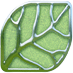 We develop the best nutritional supplements available on the market