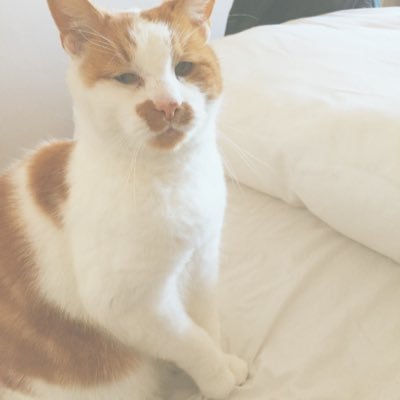 Louise_Wheatley's profile picture. 19 uk