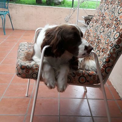 LeoGellers's profile picture. Estado físico y bienestar