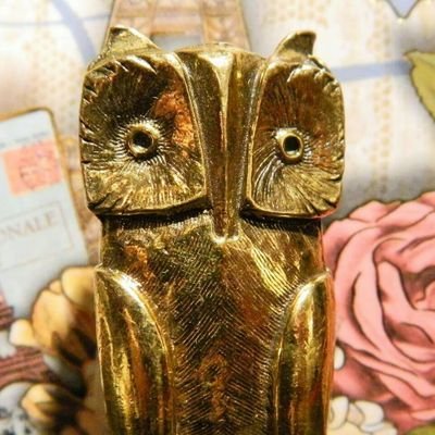 Hello! I am a thrifter and antique lover who is always looking for new ways to expand my Ebay, Etsy and depop stores. Thank you for following!