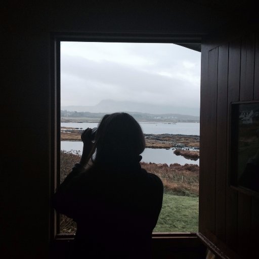 BryonyTimms's profile picture. 