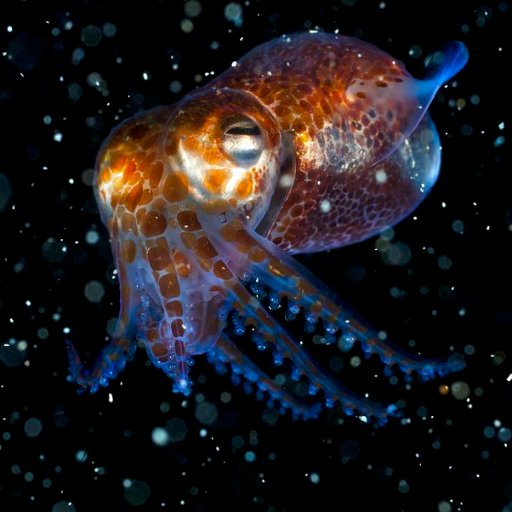 KinkyNoodles's profile picture. Radio presenter always looking for emerging artists. Im also a singer/songwriter/play keys/sax/clarinet. Check out: http://t.co/jiMGHhWfOj