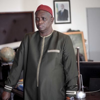 ancien journaliste d'investigation, écrivain, auteur d'essais politiques et de romans. Ancien Directeur de publication du journal la Gazette.sn. Ministre.