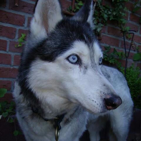 mipa100's profile picture. 