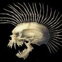 CHRIS MCGREW - @DAKIDIRISH - Twitter