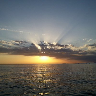 Araneo3's profile picture. La vita non è aspettare che passi la tempesta. La vita è imparare a danzare nella pioggia. “Mahatma Gandhi”