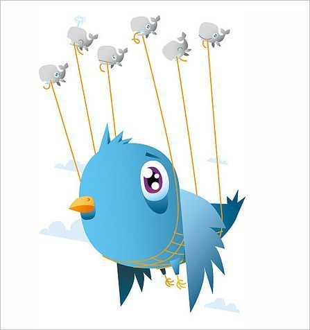 fedoracore5's profile picture. 地元ﾈﾀ or お出かけﾈﾀを入れたいﾃﾞｽ