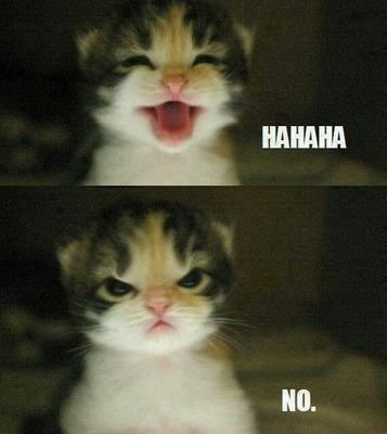 axelisma1982's profile picture. Yo lo que tengo es hambre y sueño. Pastafari.