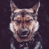 SaNaLive (@difuel_play) 's Twitter Profile