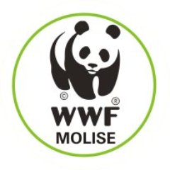 Costruiamo un futuro in cui l'uomo possa vivere in armonia con la #natura. Profilo ufficiale dedicato alle attività del WWF Molise OA #togetherpossible
