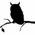 wise owl tea (@wise_tea) Twitter profile photo wise owl tea (@wise_tea) Twitter profile photo