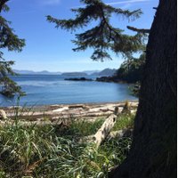 Ms. S McLeod (@misssmcleod) 's Twitter Profile