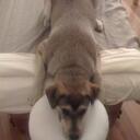 Amy Leclercq - @LIGHTWORKiSpa - Twitter