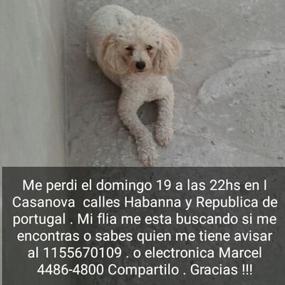 ramones2015's profile picture. Todo