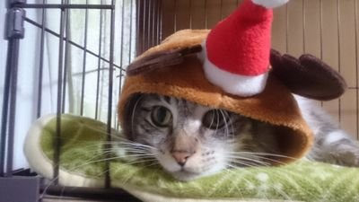 yuka_bon's profile picture. 