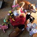 Donna Pearce - @DonkeyOatie - Twitter