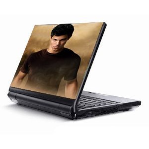 All netbook skins in one place