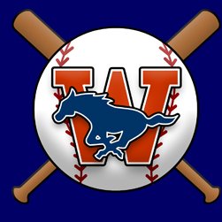 TWHS_Baseball Profile Picture