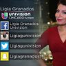 LigiaGUnivision's profile picture. Meteorologist/News Reporter Univision Chicago. Tweets are mine, do not necessarily reflect the opinions of Univision.